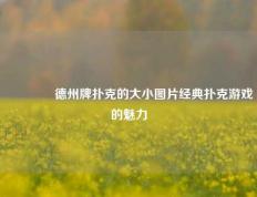 👉德州牌扑克的大小图片经典扑克游戏的魅力