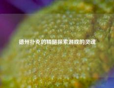德州扑克的精髓探索游戏的灵魂