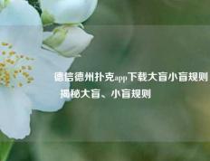 🎖️德信德州扑克app下载大盲小盲规则揭秘大盲、小盲规则
