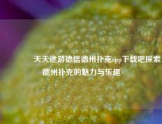 🌈天天途游德信德州扑克app下载吧探索德州扑克的魅力与乐趣