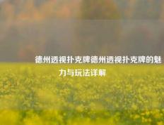 👍德州透视扑克牌德州透视扑克牌的魅力与玩法详解