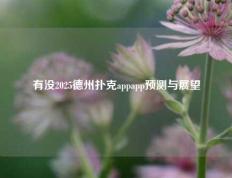 有没2025德州扑克appapp预测与展望