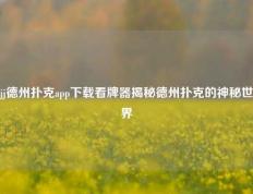 jj德州扑克app下载看牌器揭秘德州扑克的神秘世界