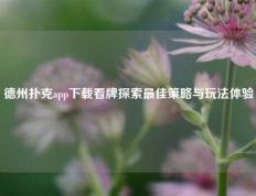 德州扑克app下载看牌探索最佳策略与玩法体验