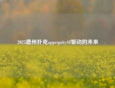 2025德州扑克appequityAI驱动的未来