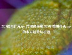 2025德州扑克app 代理商探秘2025年德州扑克App的未来趋势与机遇