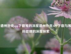 德州扑克app下载筹码深度德州扑克APP下载与筹码管理的深度探索