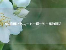 2025德州扑克app一对一样一对一样的玩法