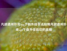 凡越德州扑克app下载外挂非法应用凡越德州扑克app下载外挂背后的真相