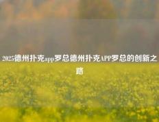2025德州扑克app罗总德州扑克APP罗总的创新之路