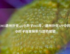 2025德州扑克app小叶子2025年，德州扑克APP中的小叶子现象解析与趋势展望