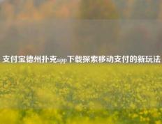 支付宝德州扑克app下载探索移动支付的新玩法