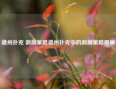 德州扑克 剥削策略德州扑克中的剥削策略揭秘