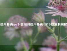 德州扑克app下载漏洞德州扑克APP下载漏洞揭秘