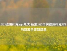 2025德州扑克app 九大 新浪2025年的德州扑克APP与新浪合作新篇章