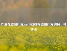 炸金花德州扑克app下载梭哈德州扑克的另一种玩法