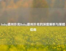 bodog德州扑克Bodog德州扑克的深度解析与策略指南