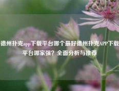 德州扑克app下载平台哪个最好德州扑克APP下载平台哪家强？全面分析与推荐