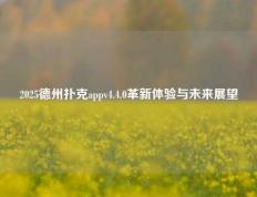 2025德州扑克appv4.4.0革新体验与未来展望