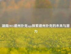 湖南2025德州扑克app探索德州扑克的未来与潜力