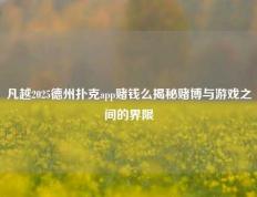 凡越2025德州扑克app赌钱么揭秘赌博与游戏之间的界限