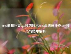 2025德州扑克app技巧技术2025年德州扑克APP技巧与技术解析