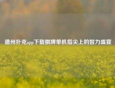 德州扑克app下载棋牌单机指尖上的智力盛宴