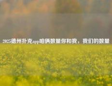 2025德州扑克app咱俩数量你和我，我们的数量