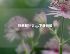 新德州扑克app下载破解