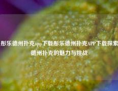 彤乐德州扑克app下载彤乐德州扑克APP下载探索德州扑克的魅力与挑战