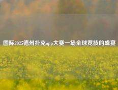 国际2025德州扑克app大赛一场全球竞技的盛宴