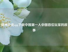德州扑克app下载中国第一人中国首位玩家的故事
