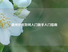 德州扑克如何入门新手入门指南