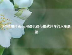2025德州扑克app用语机遇与挑战并存的未来展望