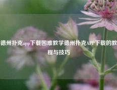 德州扑克app下载困难教学德州扑克APP下载的教程与技巧