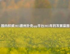 国内权威2025德州扑克app平台2025年的发展蓝图