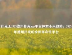 扑克王2025德州扑克app平台探索未来趋势，2025年德州扑克的全新革命性平台