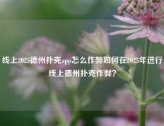 线上2025德州扑克app怎么作弊如何在2025年进行线上德州扑克作弊？