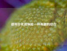 德州扑克背保险一种有趣的结合