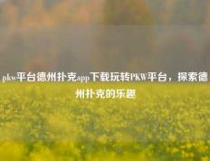 pkw平台德州扑克app下载玩转PKW平台，探索德州扑克的乐趣