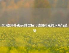2025德州扑克app牌型技巧德州扑克的未来与趋势