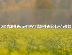 2025德州扑克appSPR防守德州扑克的未来与挑战