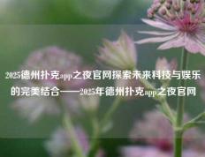 2025德州扑克app之夜官网探索未来科技与娱乐的完美结合——2025年德州扑克app之夜官网