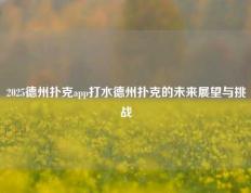 2025德州扑克app打水德州扑克的未来展望与挑战