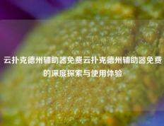 云扑克德州辅助器免费云扑克德州辅助器免费的深度探索与使用体验