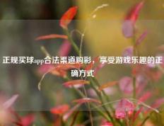 正规买球app合法渠道购彩，享受游戏乐趣的正确方式