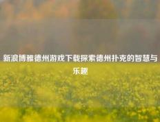 新浪博雅德州游戏下载探索德州扑克的智慧与乐趣