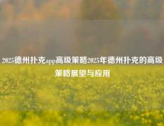 2025德州扑克app高级策略2025年德州扑克的高级策略展望与应用