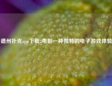 德州扑克app下载2电影一种独特的电子游戏体验