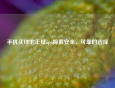 手机买球的正规app探索安全、可靠的选择
